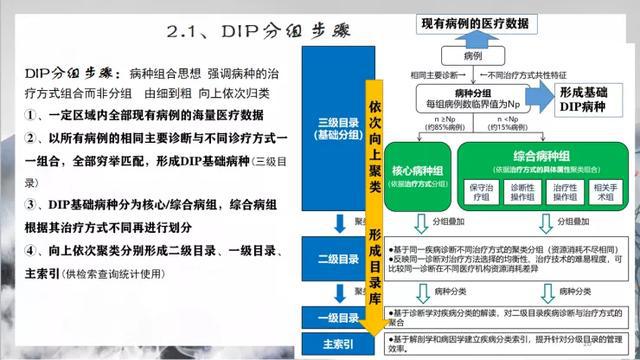 食品营养学中AA模式的含义解析