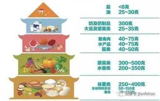 减肥必备，十大营养食品排行榜助你健康瘦身