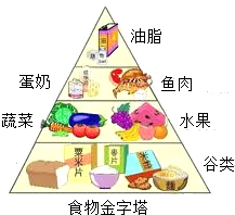 食品中六大营养素的重要性与功能