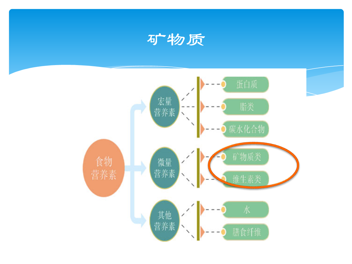 食品与营养卫生学中的矿物质，PPT呈现与解读指南