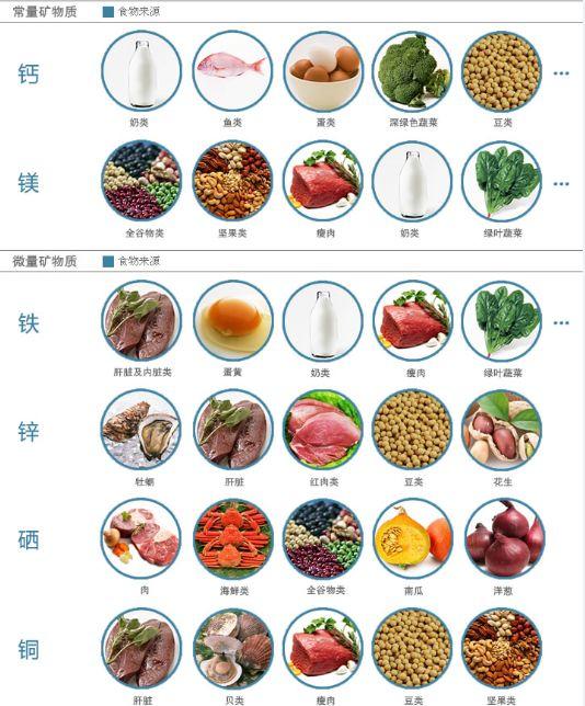 减脂运动营养食品的主要类别简介