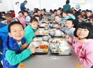 中小学生营养与食品卫生，健康成长的基石之道