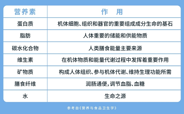 食品六大营养素的生理功能与人体健康关系研究