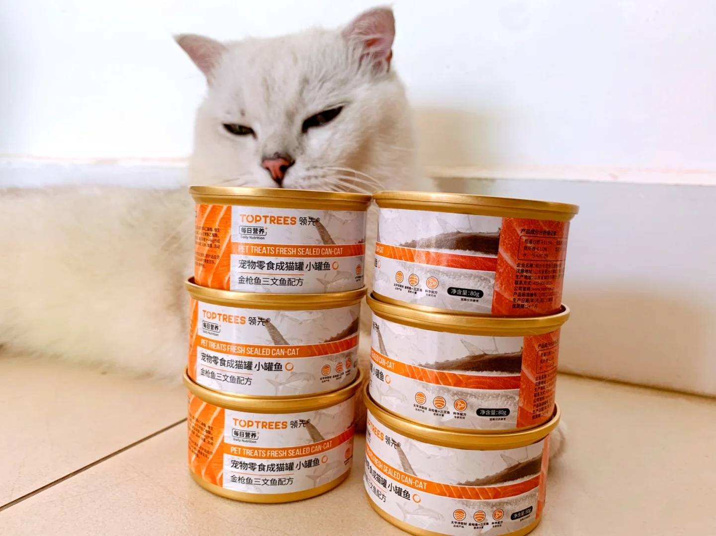 探索健康猫零食品牌，为猫咪挑选营养丰富的健康选择