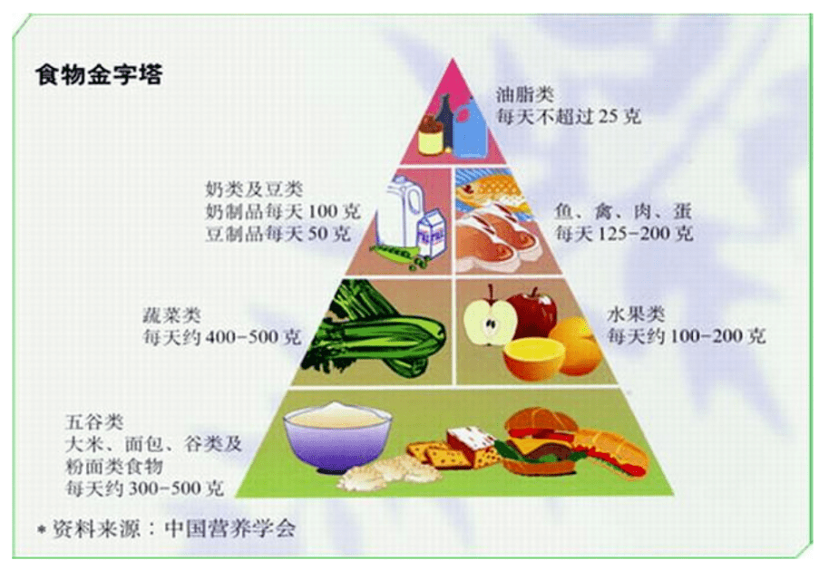 食品的三大营养成分及其重要性简述