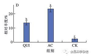 晨曦之光