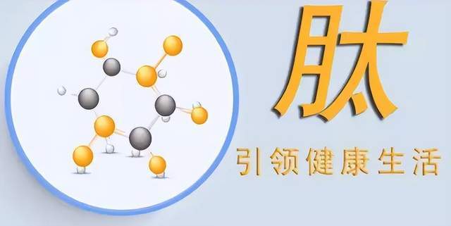 肽，科学背后的故事与百科知识探索——营养食品还是生物活性成分？