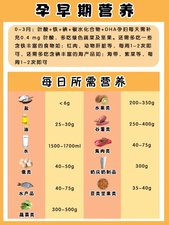 孕妇营养指南，0-6个月营养需求与食品选择攻略