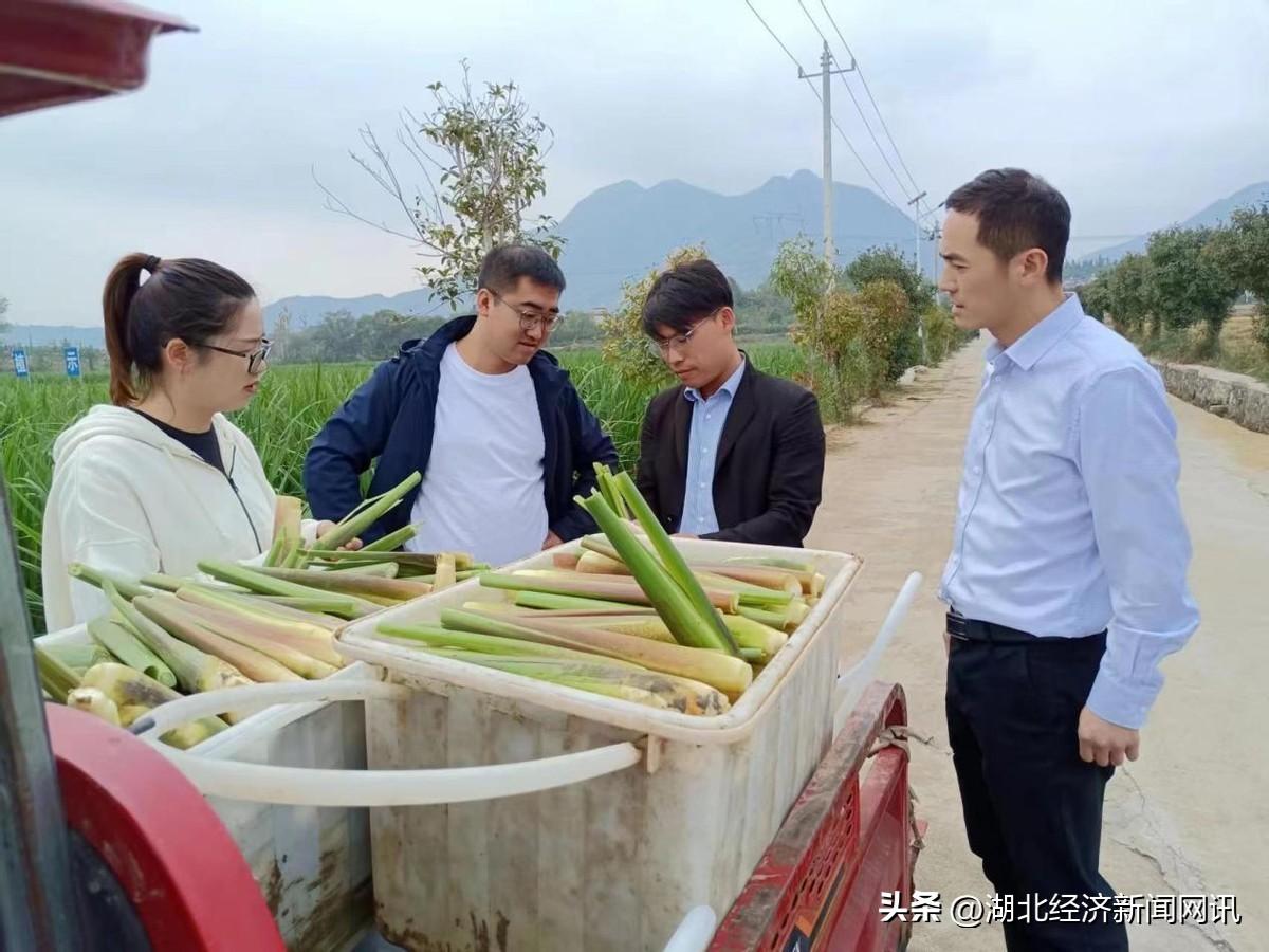 广州市白云区黄石每日营养食品店，倡导营养与健康的生活理念