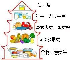 食品营养概念解析与重要性探讨