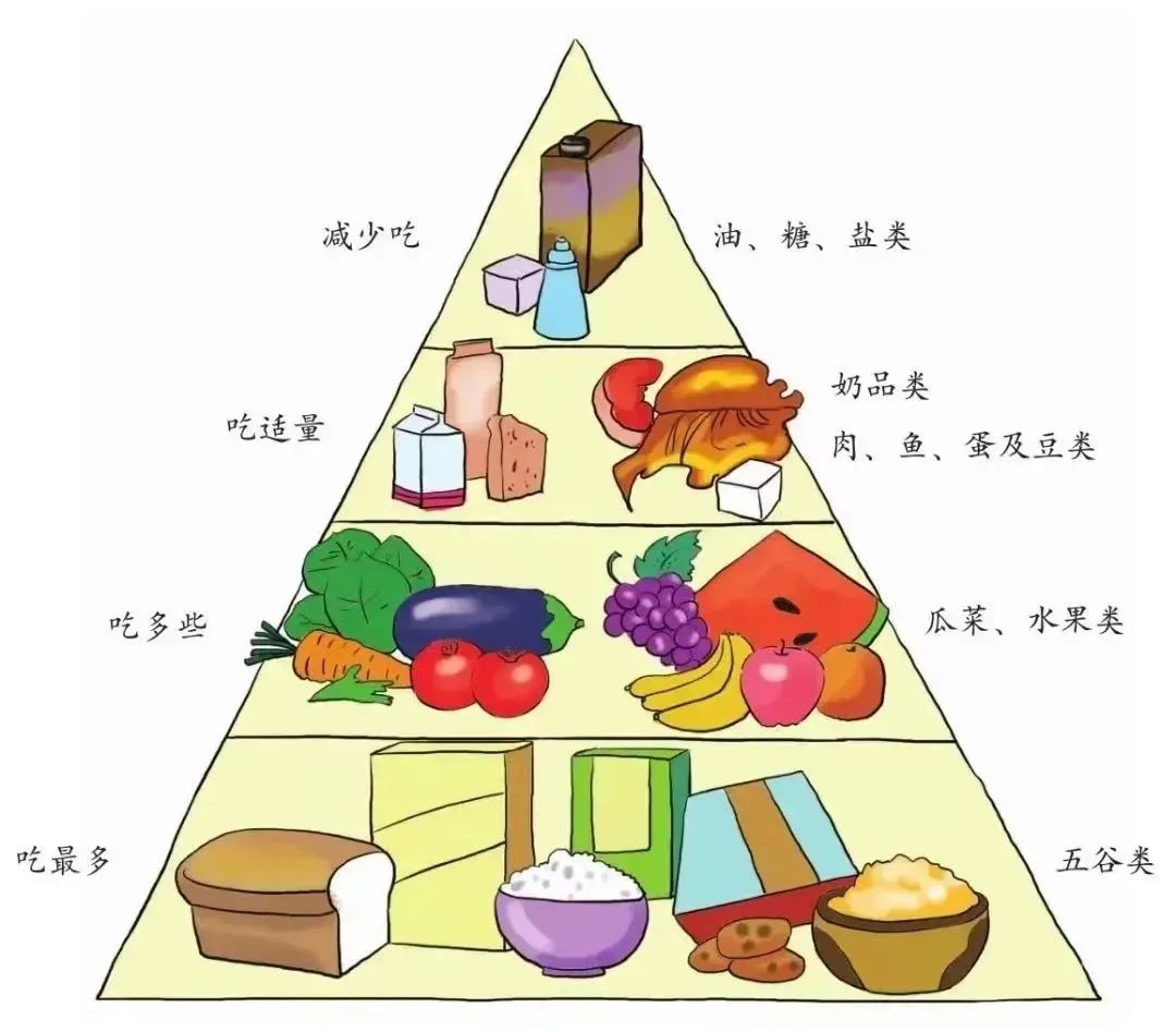 构建健康饮食的秘诀，食品营养摄取策略全解析