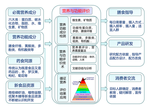 食品营养研究，探索现代食品的营养价值与健康效应