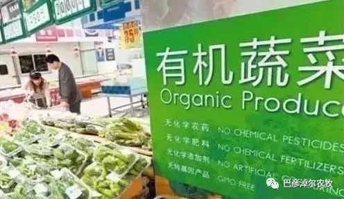 永吉有机食品的营养价值解析