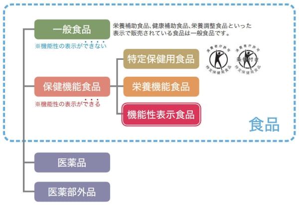 营养食品的分类及其重要性探讨