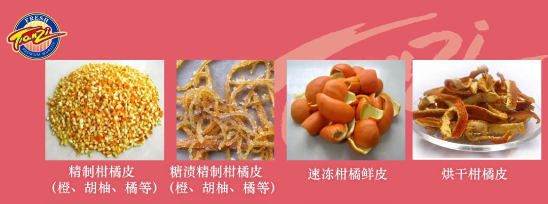 浙江食品营养专业，培养新时代食品健康领域的精英人才