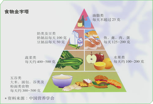 食品营养知识的重要性及其在日常生活中应用的重要性