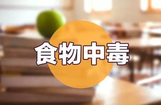 透析营养食品，引领健康生活的核心力量