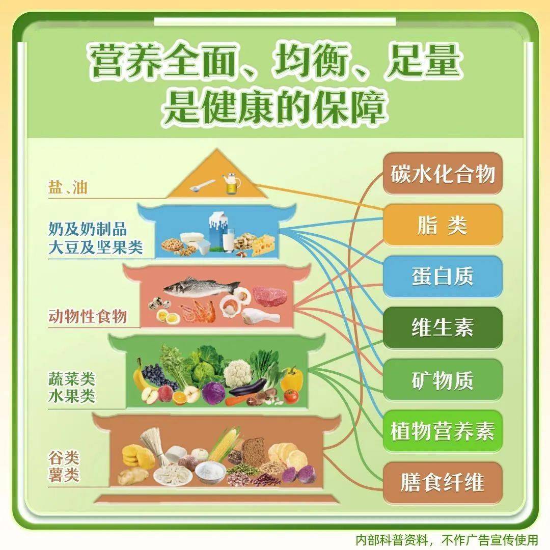 食品营养奥秘探索小课堂