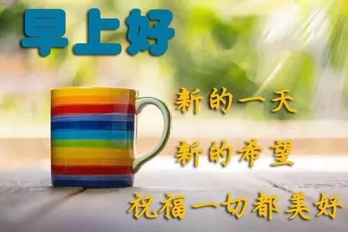 营养食品的重要性，揭示其价值和影响的语言表达