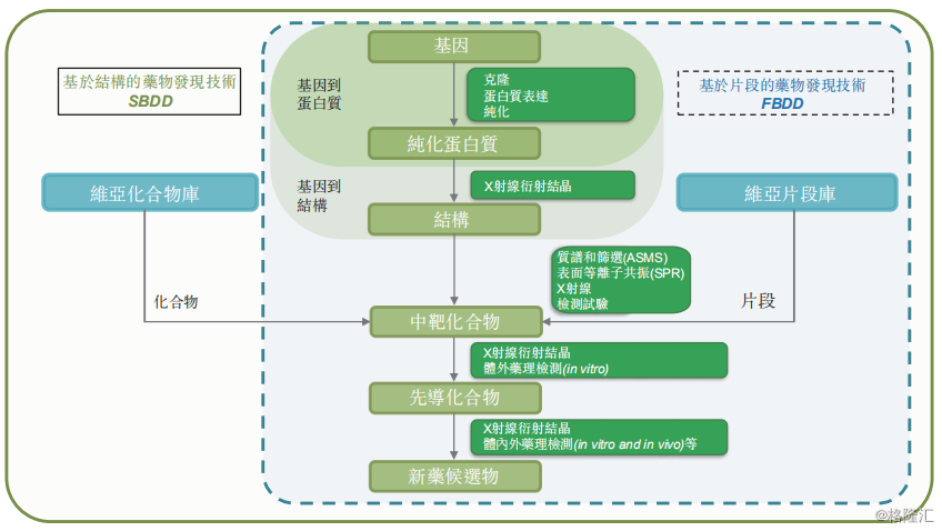 食品营养靶向设计，引领食品产业革命性变革的未来之路