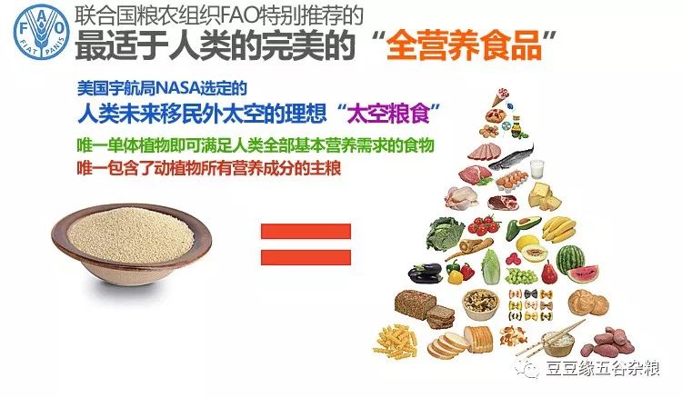 营养团购食品，打造健康生活优选模式