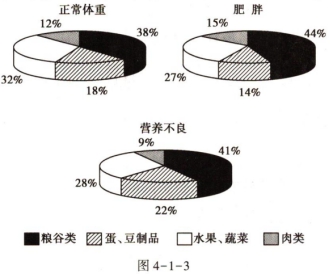 食品营养均衡比例，构建健康饮食的稳固基石