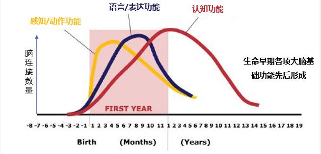 营养食品群，打造健康生活的核心要素