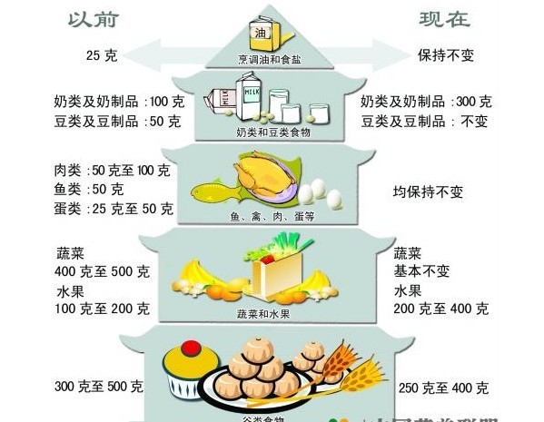 儿童食品营养图谱，塑造健康未来的关键之路