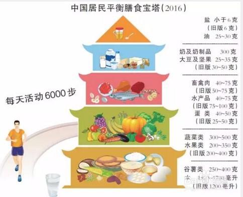 食品营养学视角下的营养食谱设计与健康饮食实践