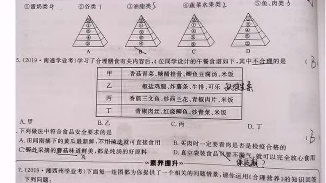 食品营养与安全的双重重要性探究，例题解析与探究营养与安全的重要性