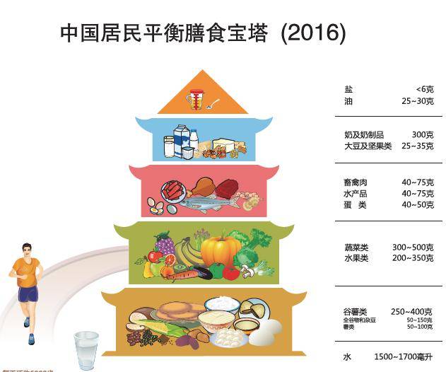 食品营养与食品安全科普，构建健康饮食的基石之道