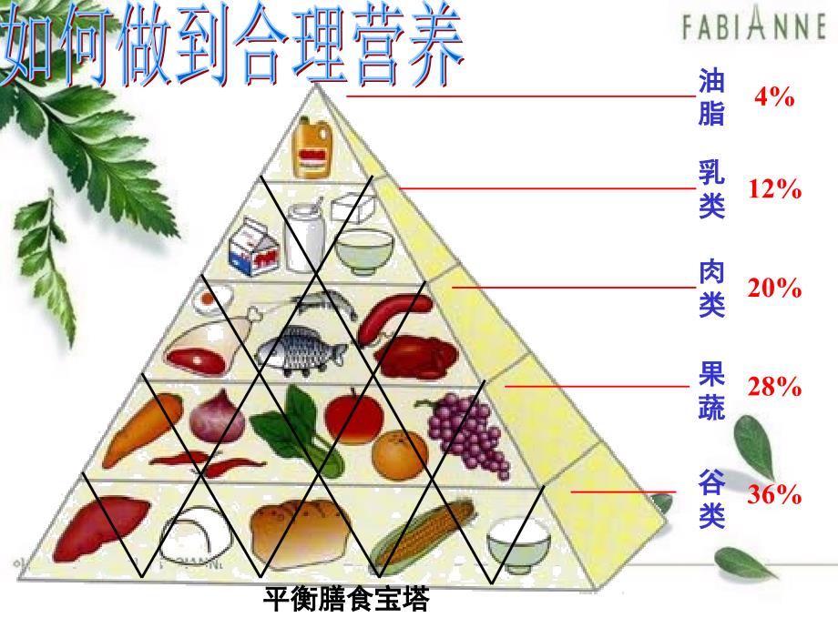 食品安全与食品营养管理，构建健康饮食的基石之道