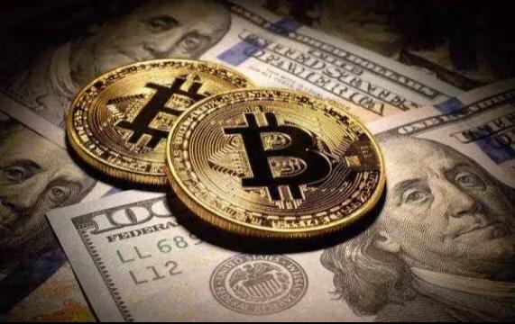 数字资产持有者的力量与机遇挖掘报告