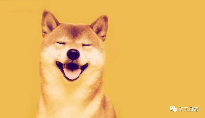 如果比特币达到10万美元，柴犬的价格会达到多高？