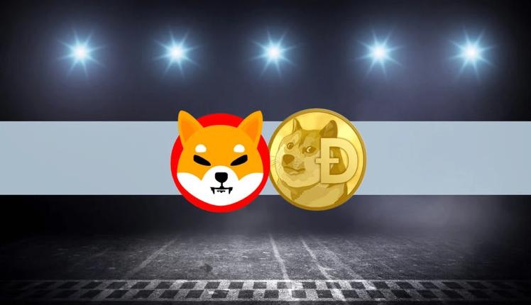 这就是SHIB今天上涨10%的原因
