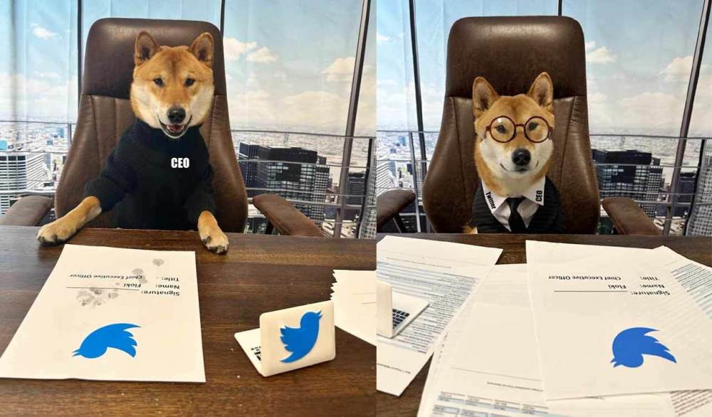 柴犬宣布与阿联酋政府建立重大web3合作伙伴关系