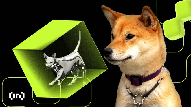 鲸鱼保释，燃烧速度减慢，柴犬进入狗窝