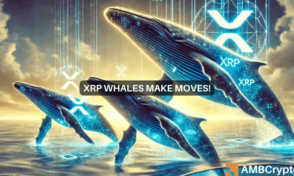 Ripple和XRP对鲸鱼需求震惊交易员，下一步是什么