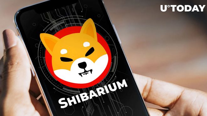 Shiba Inu支持的开发者推出了第一个连接3大区块链的defi桥