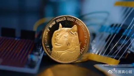 模因硬币狂热：柴犬、Floki、Dogwifhat激增