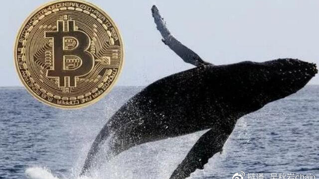 巨鲸疯狂买入比特币（BTC），揭示持有比特币最多的十大公司