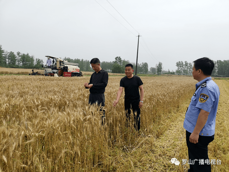 BUIDL解析，贝莱德参与的去中心化金融深度解读