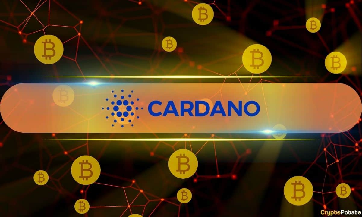 Cardano创始人预测，比特币DeFi将在三年内主导加密货币市场