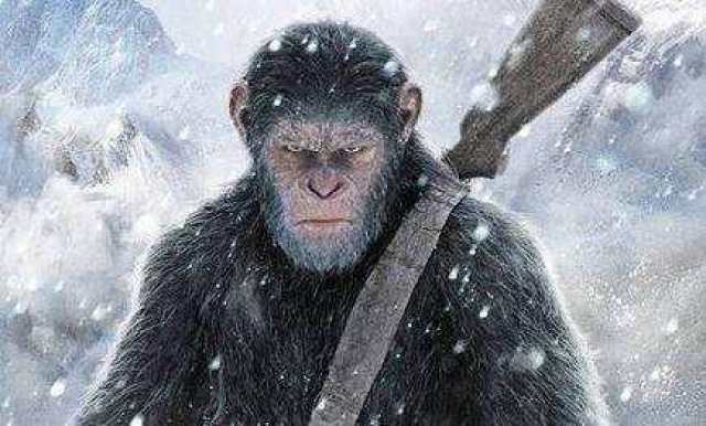猩球崛起，猩猩觉醒引发的人类危机电影深度解说